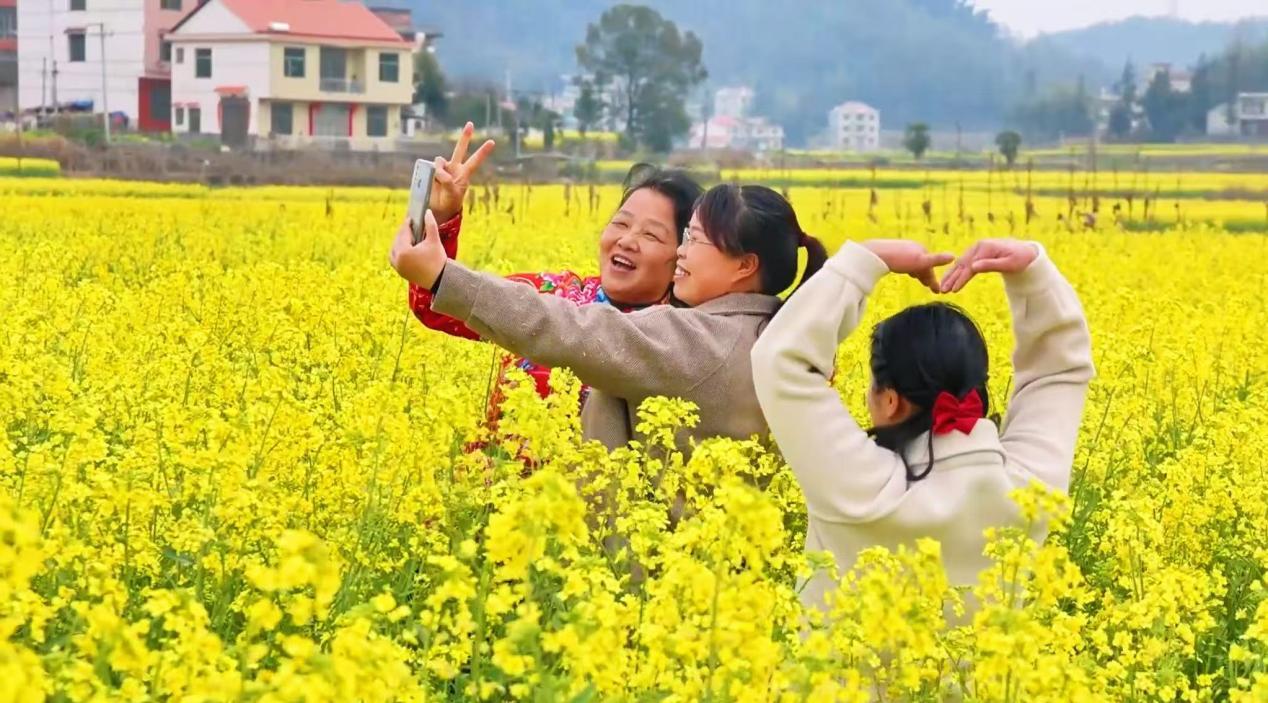 21万亩油菜花海“流金” 湖南武冈大力发展“赏花经济”