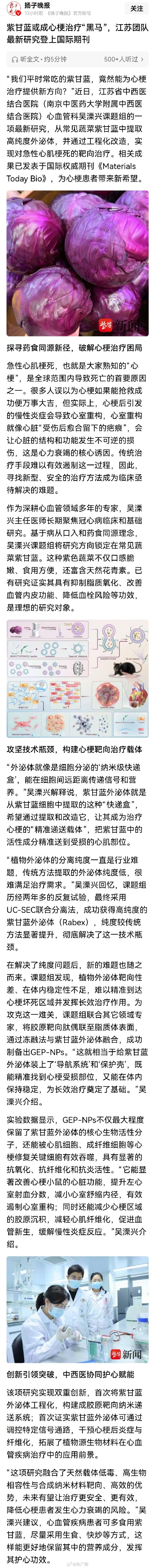 紫甘蓝或成心梗治疗黑马 紫甘蓝或成心梗治疗黑马