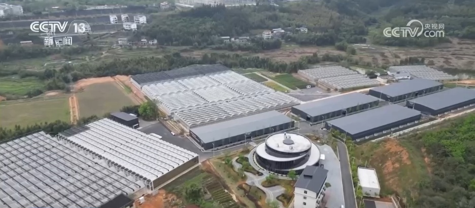 从“赏花1.0”到“文旅2.0” “生态花景”变为乡村振兴“增收钱景”