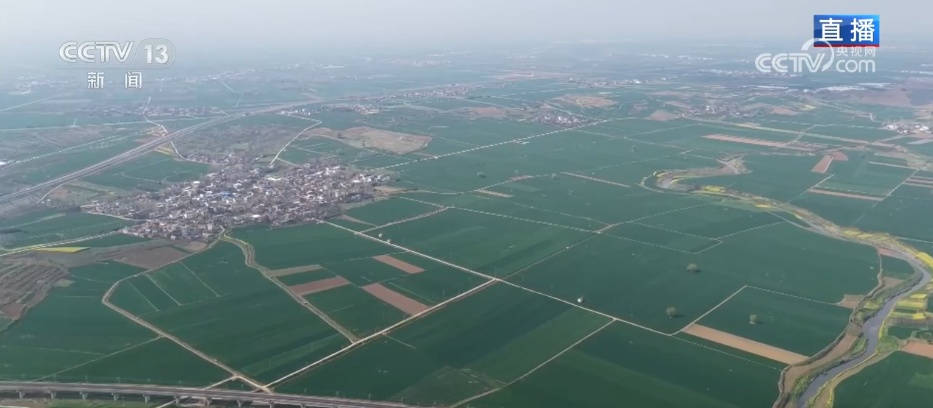 物联网、大数据……“科技+”守护万亩良田 “智”管模式夯实丰产基础 物联网、大数据……“科技+”守护万亩良田 “智”管模式夯实丰产基础