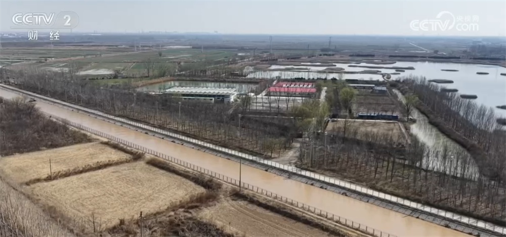 春耕春管进展顺利为“稳产+丰产”筑牢根基 多举措织密冬小麦春灌“保障网”