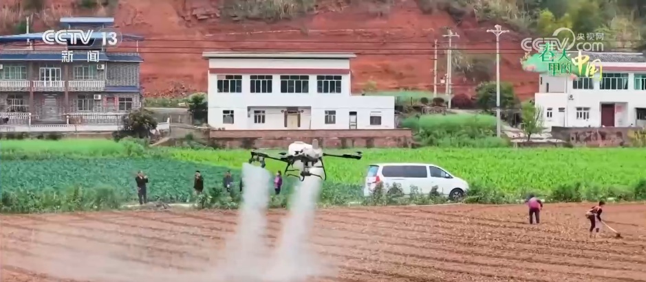 工厂化育秧为春耕生产保驾护航 “黑科技” 为春耕按下“加速键”