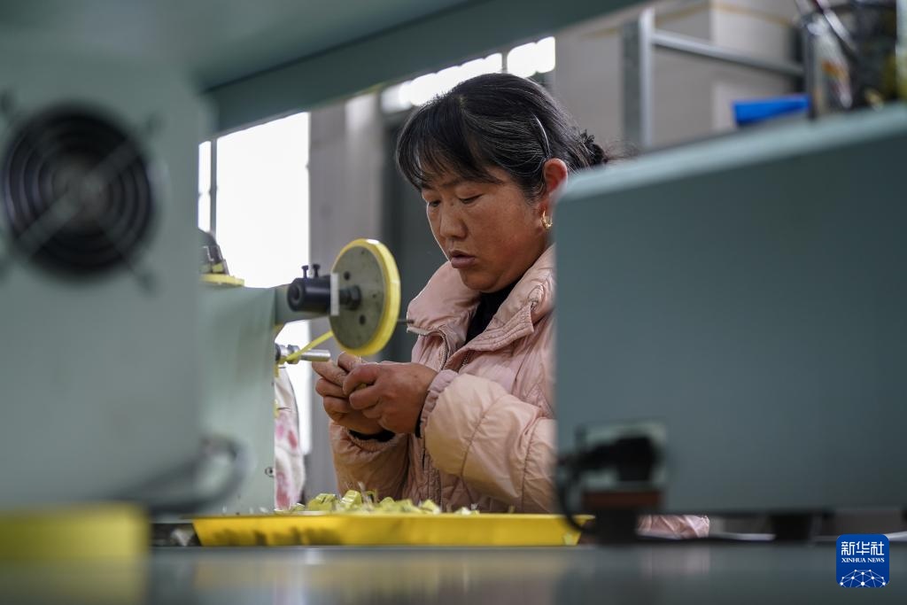 云南会泽：聚焦搬迁群众家门口就业需求