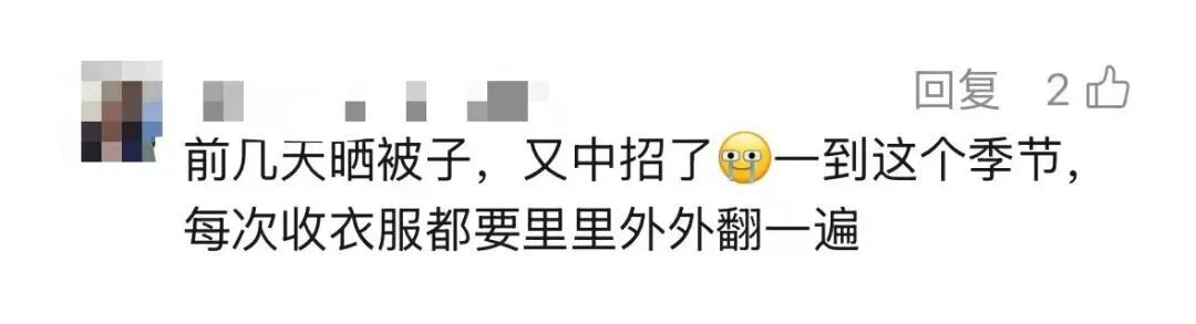 不要摸！一出现就是14颗！不少人中招