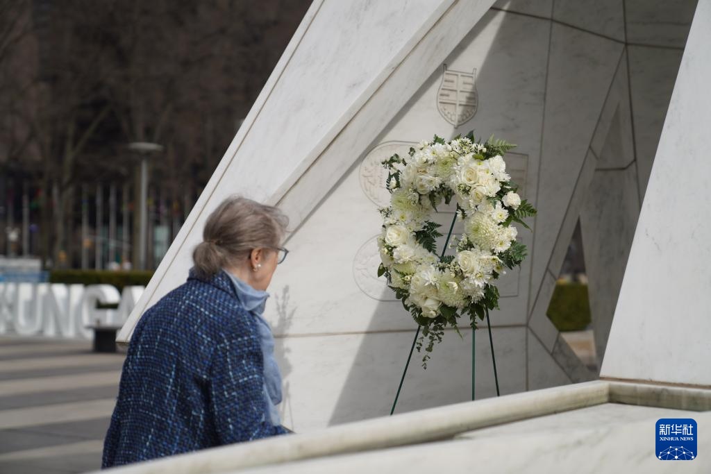 联大将非洲奴隶贸易定性为“最严重的危害人类罪” 联大将非洲奴隶贸易定性为“最严重的危害人类罪”