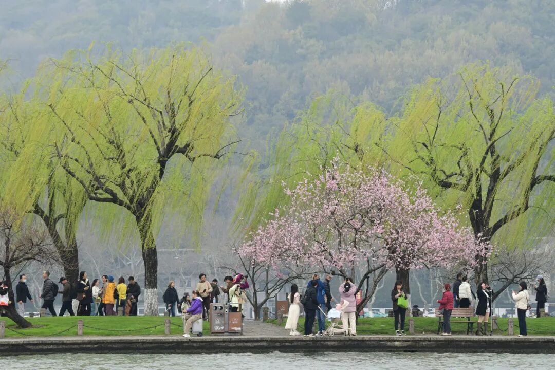 双休日抓紧出游！直冲24℃！浙江下周还有明显降水、大风、降温