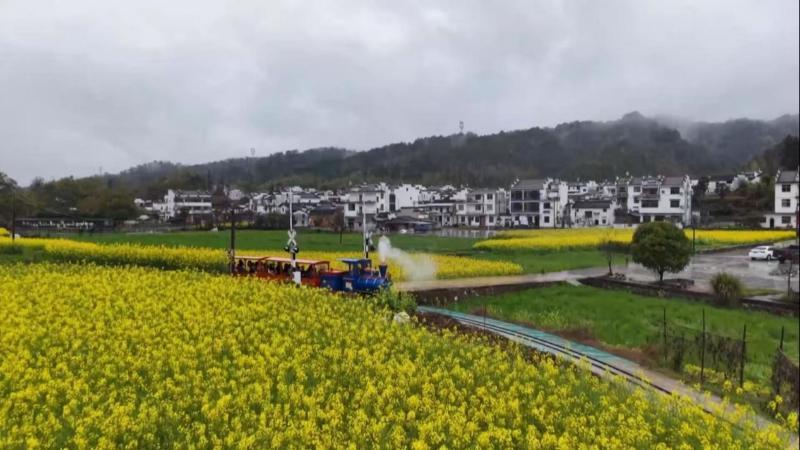 江西：“赏花+”新业态解锁春日新玩法