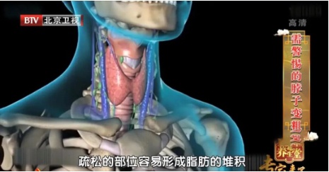 真正的 “胆固醇大户” 曝光，不是鸡蛋