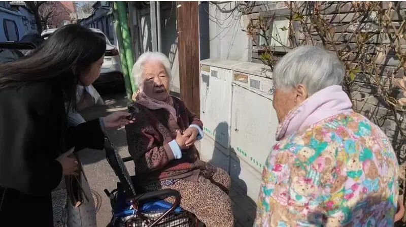 前后马厂胡同：中轴线旁的百年马韵，烟火里的岁月变迁