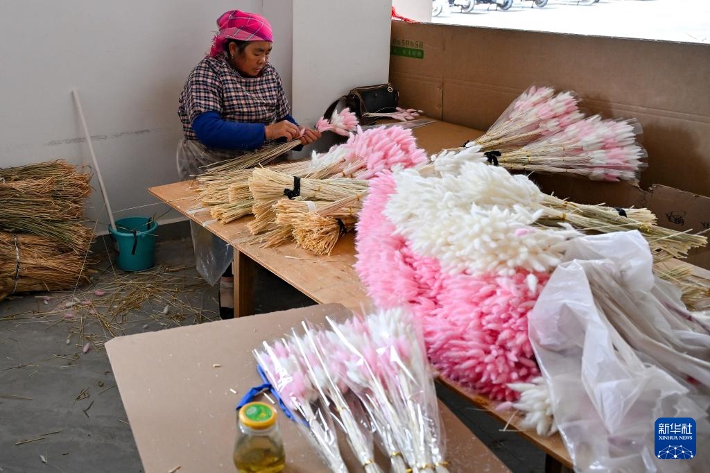 云南会泽：聚焦搬迁群众家门口就业需求