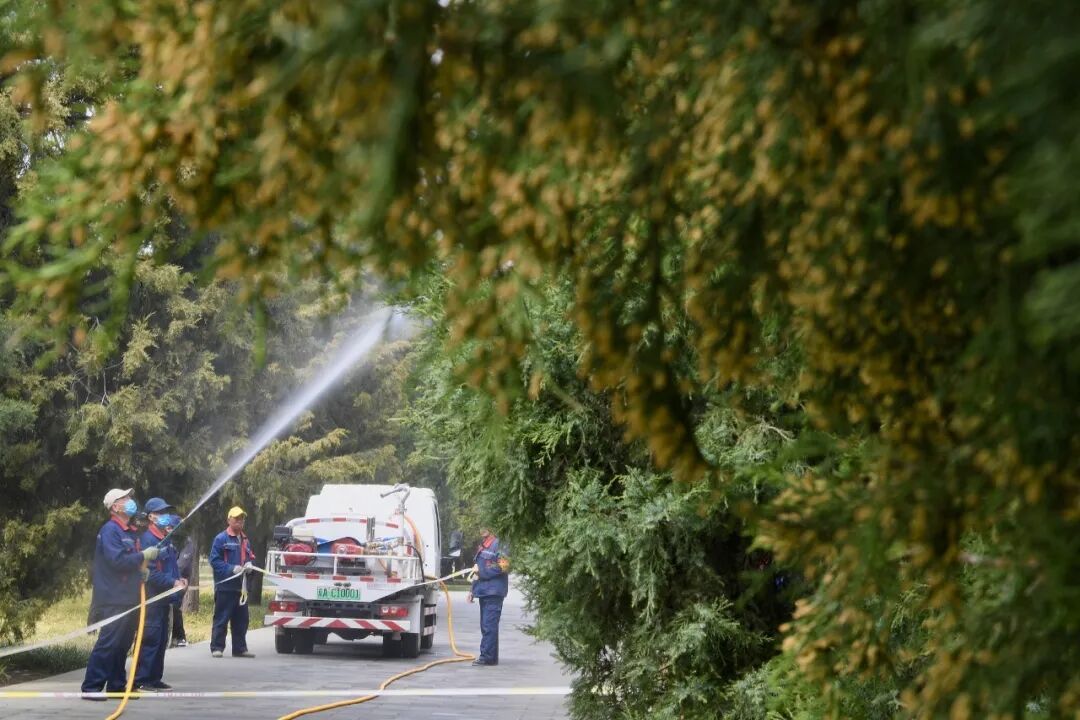 花粉季来袭!出现这些状况,千万别硬扛→ 花粉季来袭!出现这些状况,千万别硬扛→