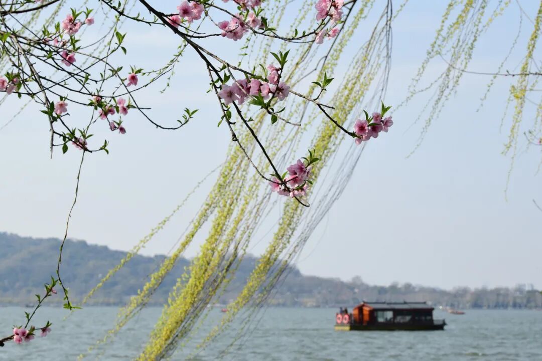 双休日抓紧出游！直冲24℃！浙江下周还有明显降水、大风、降温