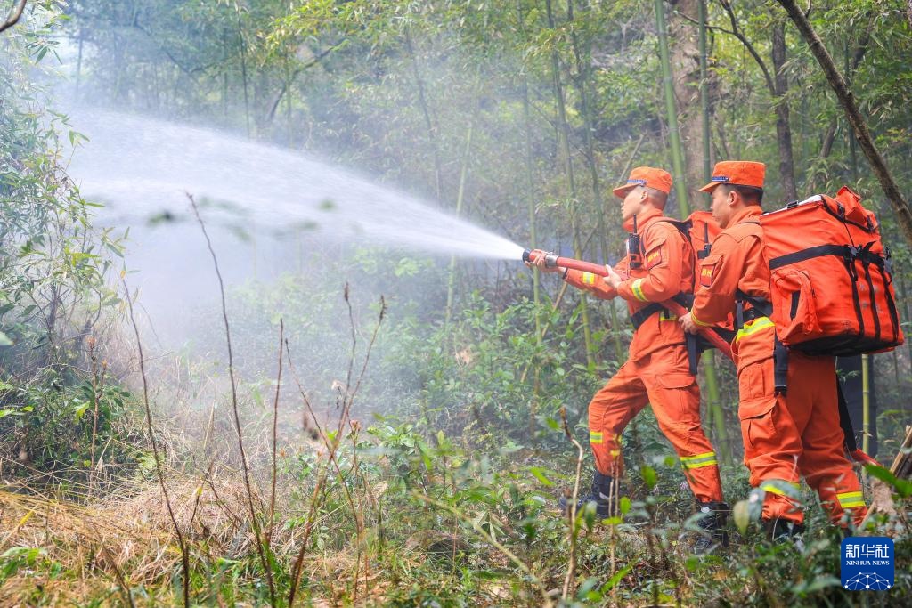 浙江：多措并举 筑牢森林“防火墙”