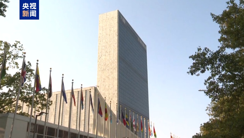 联合国宣布“最严重的反人类罪行”，美以阿反对