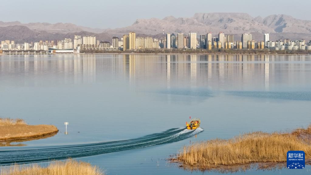 内蒙古乌海：沙水相依鸥翔集