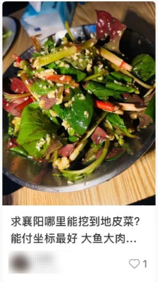 野外正大量出现!不少人已出动……紧急提醒→ 野外正大量出现!不少人已出动……紧急提醒→