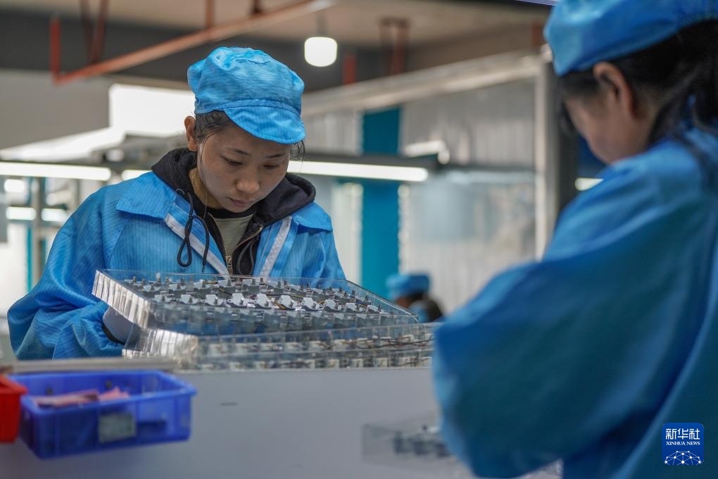 云南会泽：聚焦搬迁群众家门口就业需求