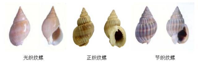 别买、别吃！朋友圈售卖，3人被抓！