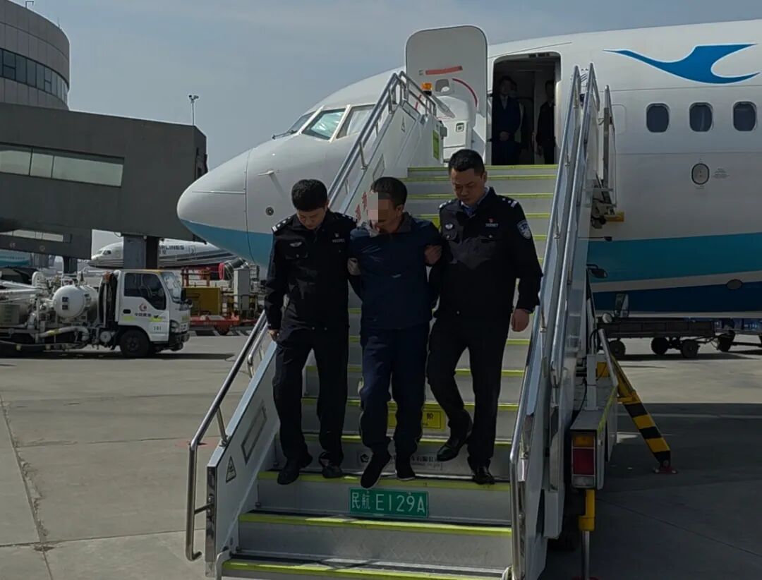 骗贷6.6亿余元，嫌疑人张某被辽宁公安机关押解回国