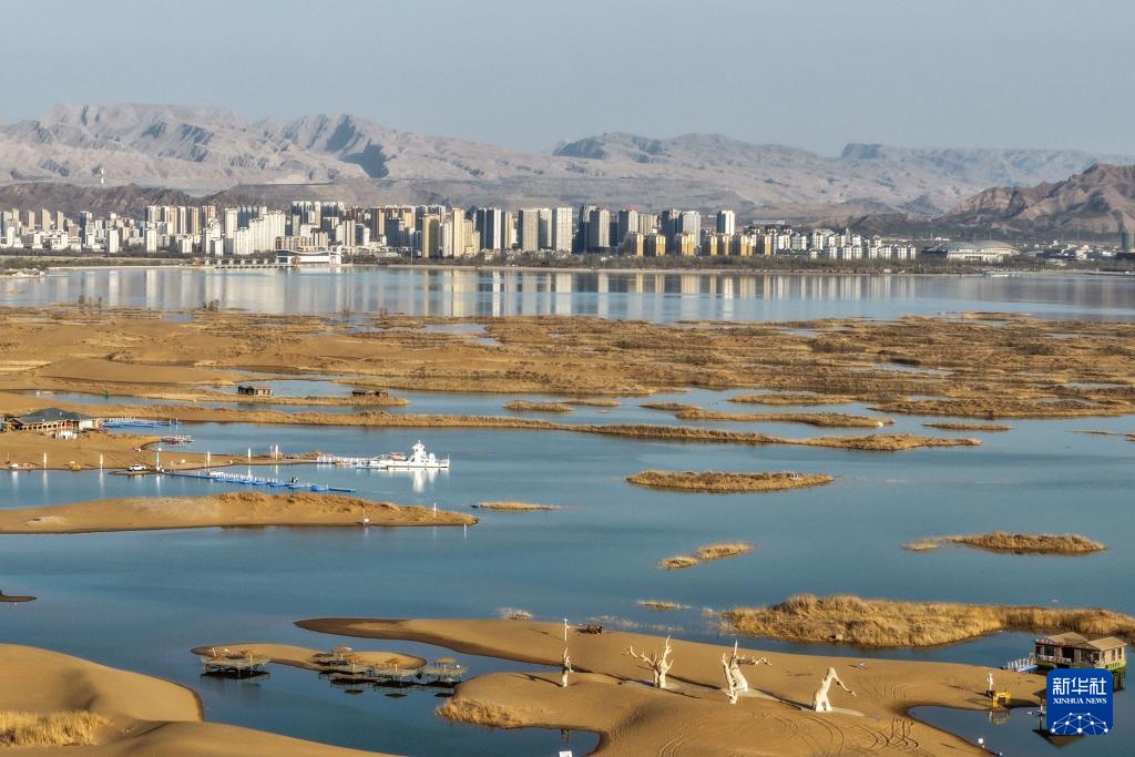 内蒙古乌海：沙水相依鸥翔集