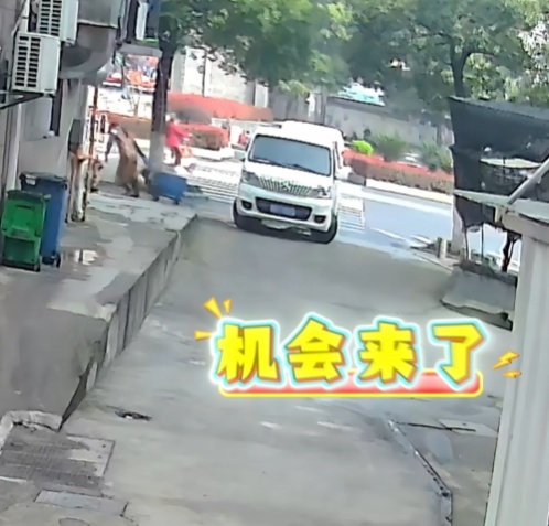 费尽心思“躲猫猫”盗窃?躲得过机主躲不过警察! 费尽心思“躲猫猫”盗窃?躲得过机主躲不过警察!