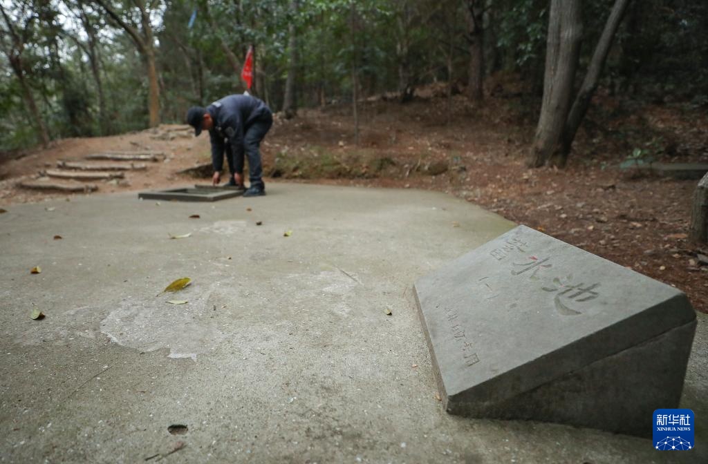 浙江：多措并举 筑牢森林“防火墙”