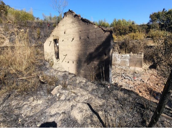 一村民除草时图省事,换来12日拘留…… 一村民除草时图省事,换来12日拘留……