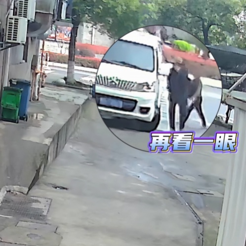 费尽心思“躲猫猫”盗窃?躲得过机主躲不过警察! 费尽心思“躲猫猫”盗窃?躲得过机主躲不过警察!