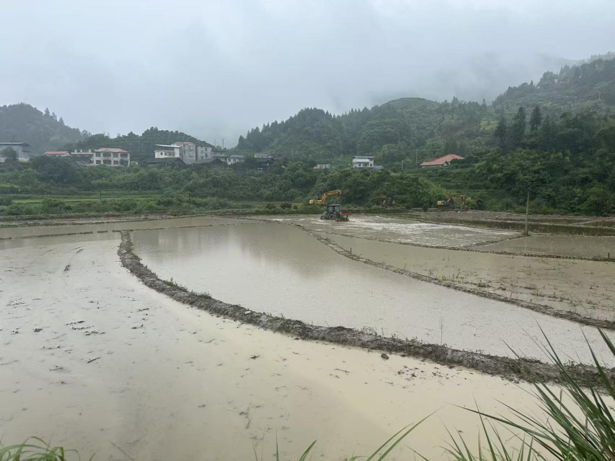 湖南保靖春耕生产一线见闻