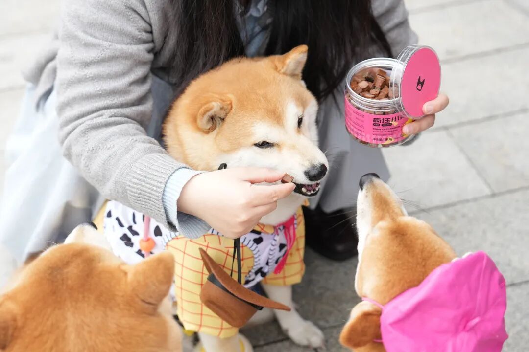 有一种亲密陪伴或会令人过敏？别慌，广州有医院率先作出应对