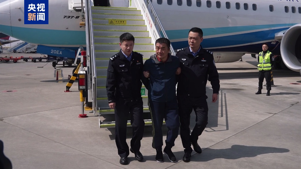 骗取贷款超6.6亿元，致银行损失6699余万元，一犯罪嫌疑人潜逃境外三年后被捕