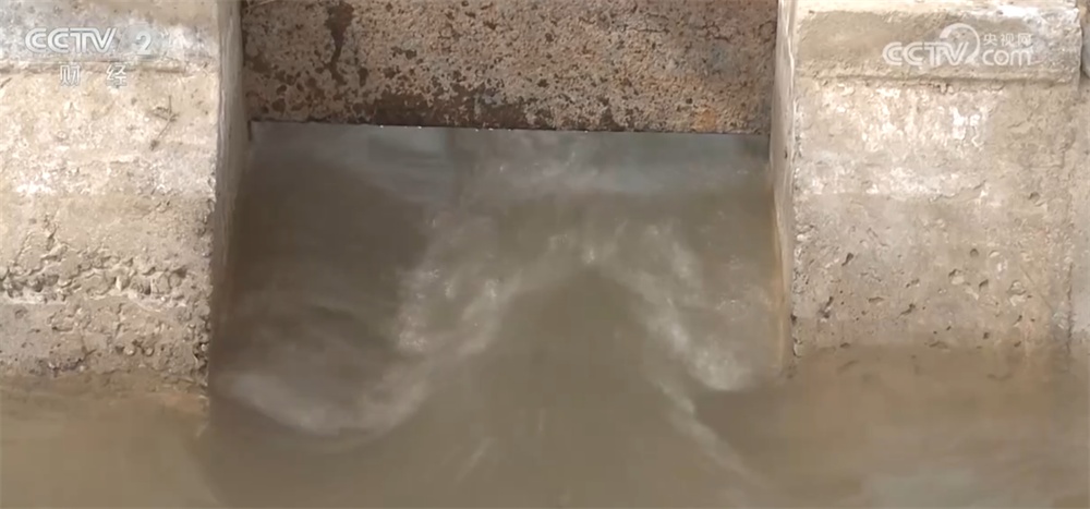 春耕春管进展顺利为“稳产+丰产”筑牢根基 多举措织密冬小麦春灌“保障网”