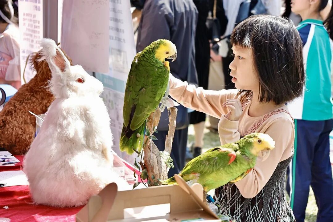 有一种亲密陪伴或会令人过敏？别慌，广州有医院率先作出应对