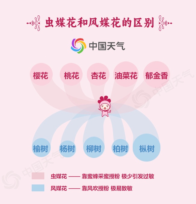 过敏不要再硬扛了！做好这5件事，让你春天安心出行——