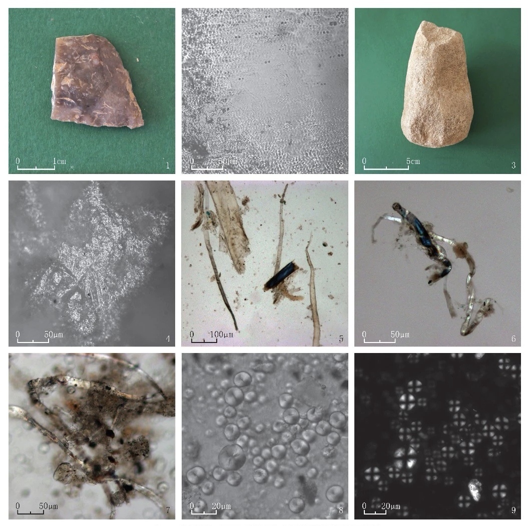 陕西榆林石峁遗址发现纤维遗存 揭示史前纺织生产技术 陕西榆林石峁遗址发现纤维遗存 揭示史前纺织生产技术