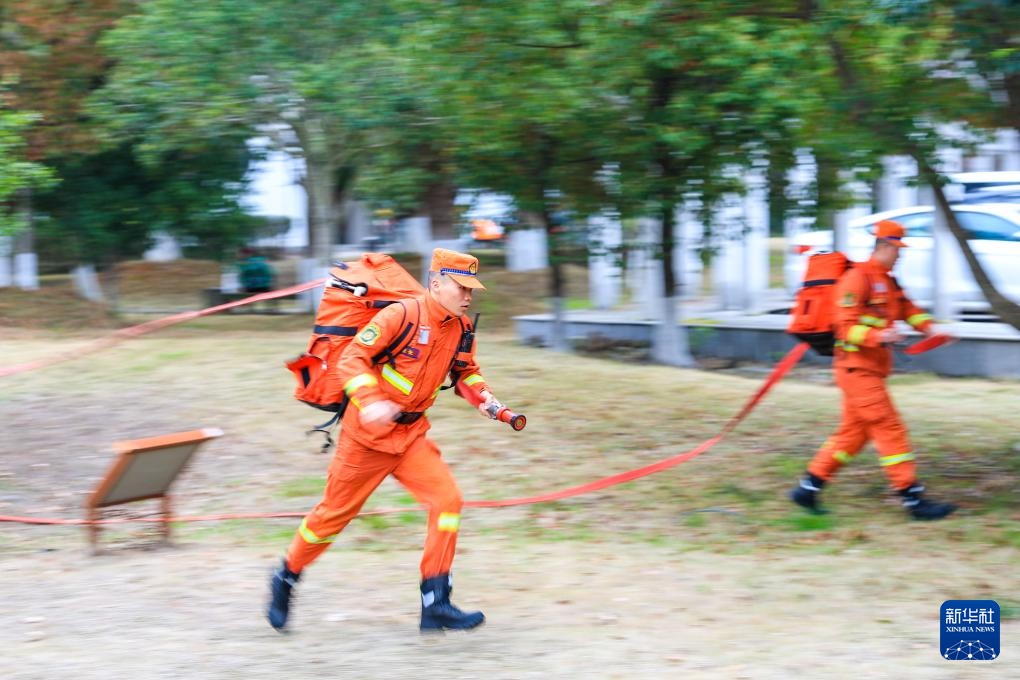 浙江：多措并举 筑牢森林“防火墙”