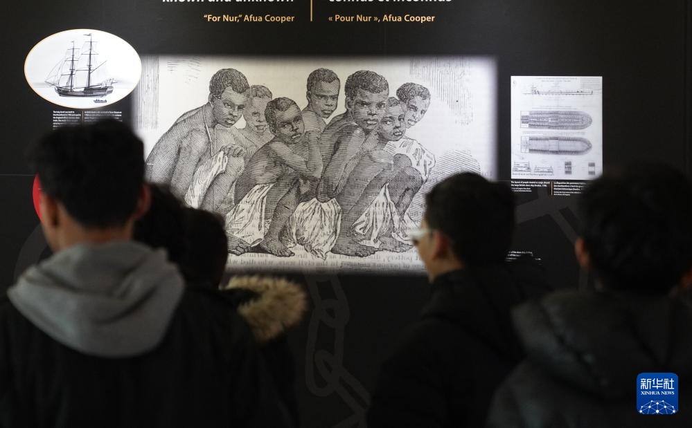 联大将非洲奴隶贸易定性为“最严重的危害人类罪” 联大将非洲奴隶贸易定性为“最严重的危害人类罪”