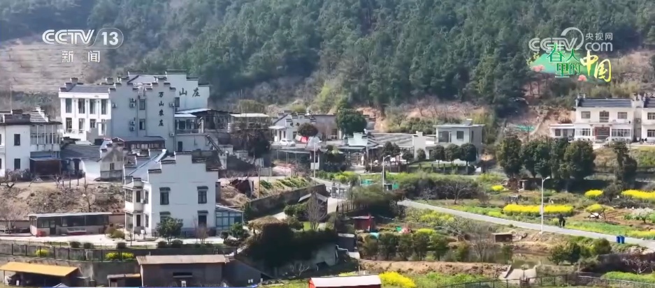 “乡村美景+农家生活”沉浸式赏花引客来 村民在家门口吃上“旅游饭”