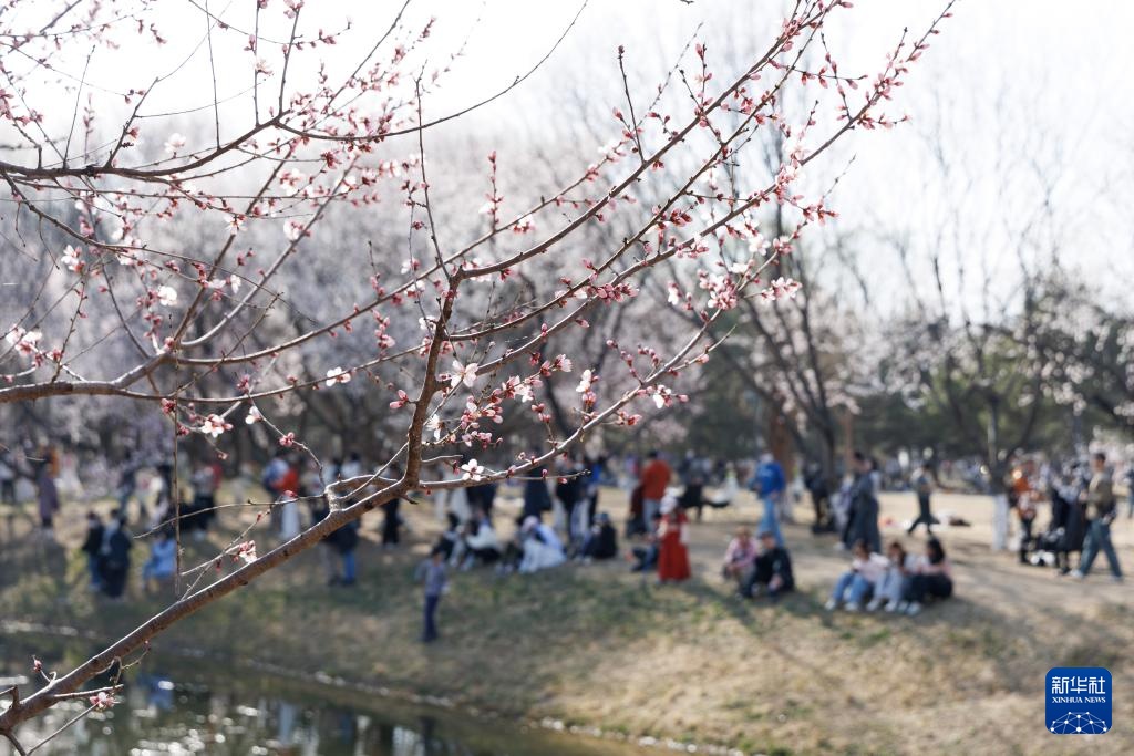 北京：公园市集＋地标文创 点亮春日消费