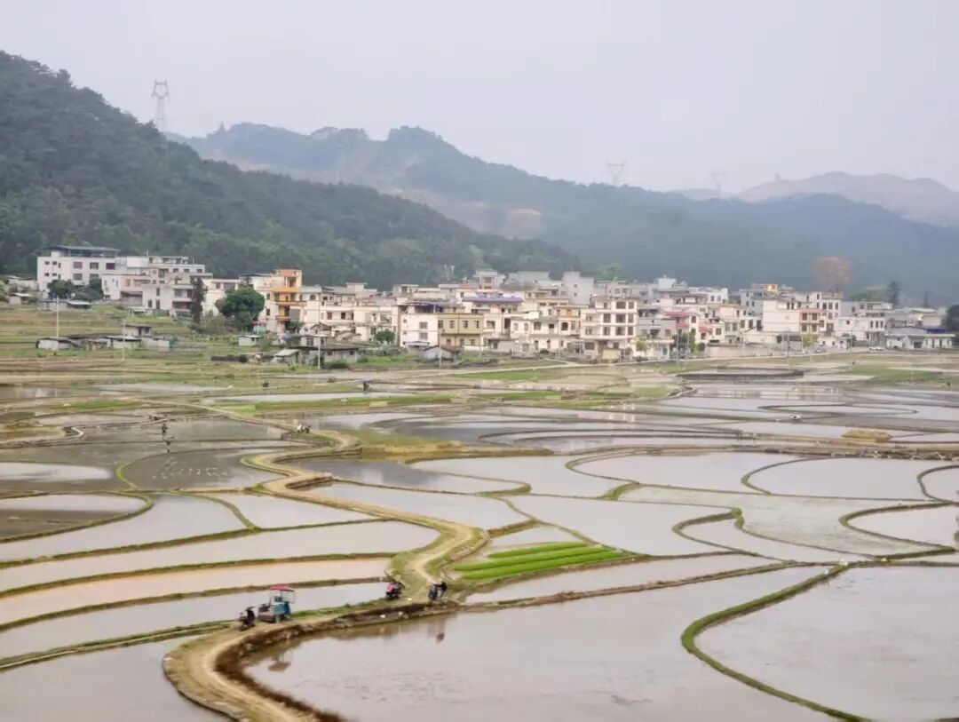 冷暖空气“干架”！广西多地有雷暴大风+冰雹