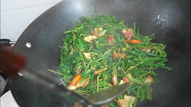 江西寻乌:春日觅水蕨 尽享春意浓 江西寻乌:春日觅水蕨 尽享春意浓