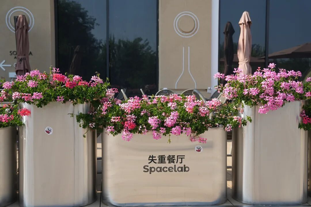 北京胡同里,悄悄多了些“新东西”?电箱穿新衣、路灯有“翅膀”…… 北京胡同里,悄悄多了些“新东西”?电箱穿新衣、路灯有“翅膀”……