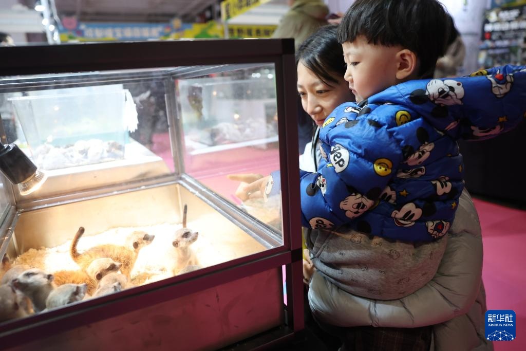 宠物经济撬动情感消费新场景 宠物经济撬动情感消费新场景