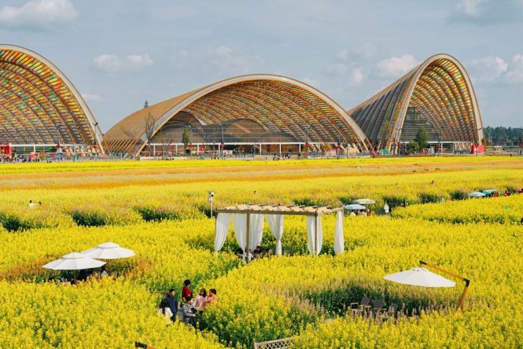 春日经济新图景｜“舌尖上的春天”品出好“钱”景