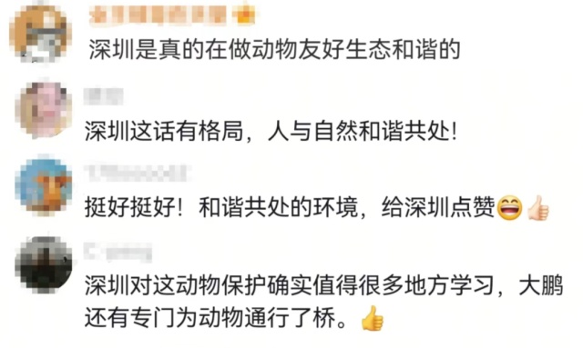 深圳高三学生请求“拆除鸟巢”，校长回应刷屏了