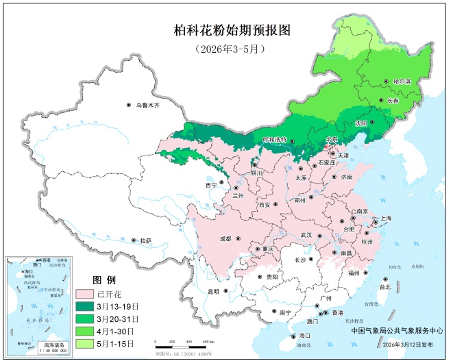 近期花粉过敏高发!安徽疾控提醒 近期花粉过敏高发!安徽疾控提醒