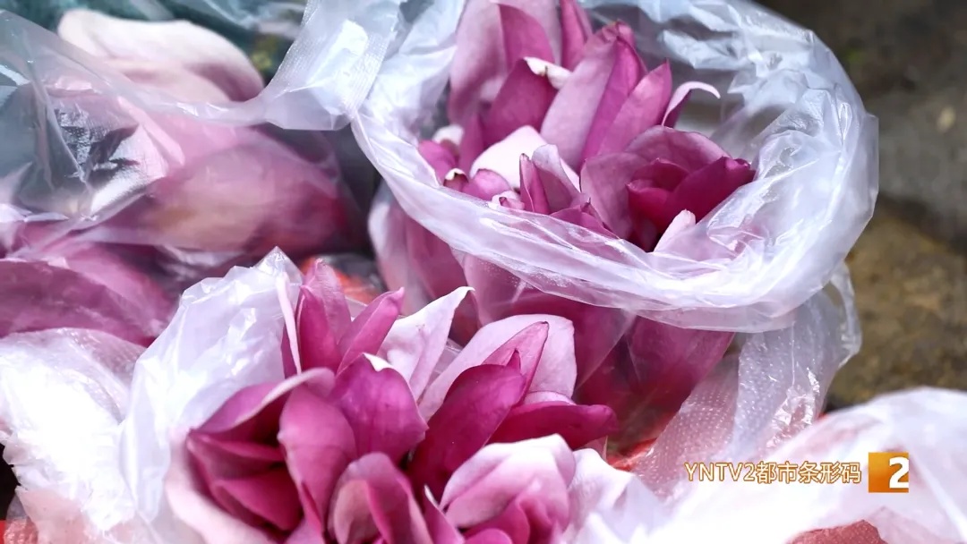 “春天就要吃云南的花”! 每天几十单,云南“春日限定”走向全国…… “春天就要吃云南的花”! 每天几十单,云南“春日限定”走向全国……