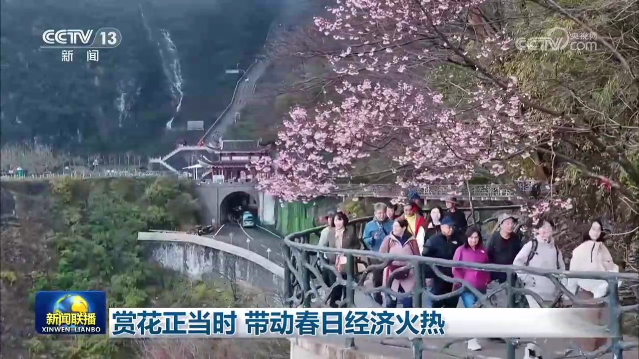 赏花正当时 带动春日经济火热 赏花正当时 带动春日经济火热