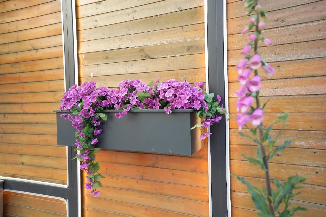 北京胡同里,悄悄多了些“新东西”?电箱穿新衣、路灯有“翅膀”…… 北京胡同里,悄悄多了些“新东西”?电箱穿新衣、路灯有“翅膀”……