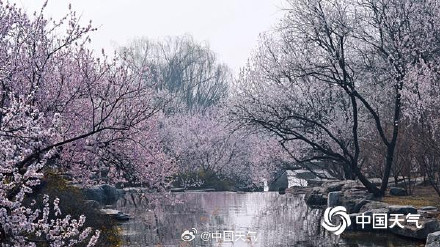春天来了!北京已于3月22日正式入春 较常年略偏早 春天来了!北京已于3月22日正式入春 较常年略偏早